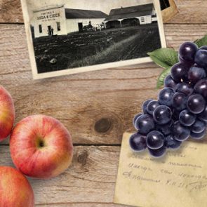 Sparkling Apple-Grape was introduced to the sparkling apple juice product line in 1997.